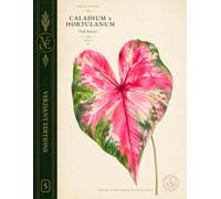Verdant Editions No. 5: Caladium × hortulanum 'Pink Beauty' Botanical Journal
