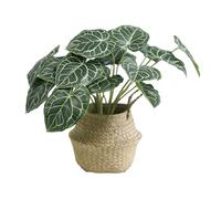 VerdantCharm Anturio Cristal Artificial, 46cm Anturio Cristal Artificial, 46cm