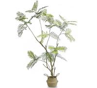 VerdantCharm Jacarandá artificial mimosifolia, con una altura de 90.6 pulgadas. Ya sea la sala de estar, dormitorio, estudio, cada área puede irradiar un encanto único cuando se decora con ella.