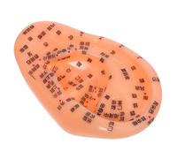 VERDANVERSE Modelo De Acupuntura De Oído Realista Puntos De Reflexología y Anotaciones Chino Herramienta De Enseñanza y Práctica Para Masaje y Formación Medicina Tradicional