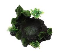 VERDANVERSE Plato Decorativo De para Reptiles Comedero y Bebedero para y Tortugas para Terrarios y