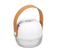VERDANVERSE Quitapelusas Eléctrico Recargable USB Mini Portátil para Ropa y Suéteres Afeitadora de Telas sin Daños 1 Unidad Cuchilla Adecuado para Eliminar Pelusas Bolas y Pelitos
