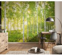 Empapelado para mural "Bosque de betulas primaverales de domingo" National Geographic, Komar, 8-519 de 368 cm x 254 cm - verde (paquete de 8)