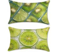 verde Funda Cojin 60x90 Frutas Cojines Sofa Terciopelo Cojines Exterior Juego de 2 Rectangular Funda de Almohada Cushion Covers Almohada Sofa con Cremallera Invisible, para Interior y Exteriores z-600