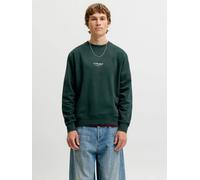 Verde Hombres Organic/Cotton/Organic/Cotton/Recycled/Polyester Sudadera Estampado S EU