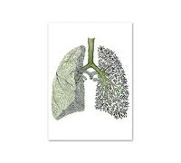 Verde medicina abstracta anatomía corazón pulmón ojo carteles nórdicos e impresiones cuadro sobre lienzo for pared cuadros for decoración de clínica(B,A4 21X30 cm Unframed)