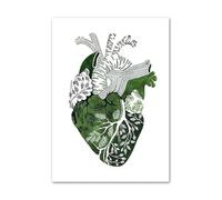 Verde medicina abstracta anatomía corazón pulmón ojo carteles nórdicos e impresiones cuadro sobre lienzo for pared cuadros for decoración de clínica(A,30X40 cm Unframed)