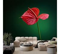 Verde Oscuro Fondo de Pantalla PanoráMica, Contemporáneo Arte Floral Anturio Fotomurales Mural 300 x 210 cm (An x Al) - Decoración de Pared Para Sala Cuarto Oficina y Salón