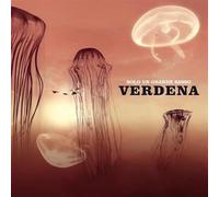 Verdena - Solo Un Grande Sasso [Vinilo]