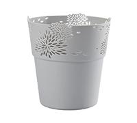 VERDENIA Aster 20527 - Maceta Decorativa para Plantas de plástico, diseño Calado, Muchos Colores, Muchos tamaños, 13 cm, Color Gris