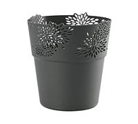 VERDENIA Aster 20527 - Maceta Decorativa para Plantas de plástico, diseño Calado, Muchos Colores, Muchos tamaños, 13 cm, Color Antracita
