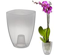 VERDENIA KAJA - Maceta para orquídeas, diseño Minimalista, Ligera, para Interiores, Polipropileno, Superficie Transparente, práctica y Funcional, 12 x 12 x 17 cm, Transparente