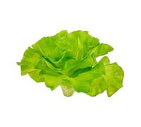 Verduras artificiales de imitación para fotos de cocina, decoración del hogar, modelo de vegetales falsos para comedor, lechuga grande, 17 x 16 cm