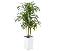VeriNatural Drácena Artificial 150 cm - Planta Artificial Grande con Hojas Ajustables, Protección UV, Maceta Blanco Cónica Plantas - Decorativas para Hogar, Oficina, Jardín e Interior Exterior, VN127