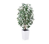 VeriNatural Ficus Artificial 150 cm Planta Artificial Grande - Árbol Decorativo Realista con Hojas de Seda, Tronco Natural y Maceta Blanco- Ideal para Hogar Jardín Oficina, Interior y Exterior, VN129