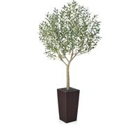 VeriNatural Plantas Artificiales Decorativas - Olivo Artificial Grande 210 cm Exterior Interior con Maceta Cónico Marrón, Protección UV - Árbol Artificial de Hogar, Oficina, Jardín, Balcón, VN156