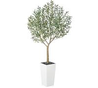 VeriNatural Plantas Artificiales Decorativas - Olivo Artificial Grande 210 cm Exterior Interior con Maceta Cónico Blanco, Protección UV - Árbol Artificial de Hogar, Oficina, Jardín, Balcón, VN156