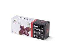 Véritable Lingot® Albahaca Morada Bio - Compatible con Huerto di Interior Exky® - Recarga Lista para Usar - Sustrato con Semillas integradas