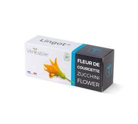 Véritable Lingot® Flores de calabacín Bio - Compatible con Huerto di Interior Exky® - Recarga Lista para Usar - Sustrato con Semillas integradas