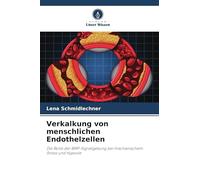 Verkalkung von menschlichen Endothelzellen: Die Rolle der BMP-Signalgebung bei mechanischem Stress und Hypoxie