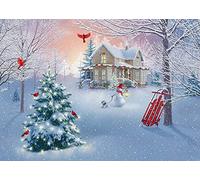 Vermont Christmas Company Box Home - Tarjetas de Navidad para Navidad, 15 tarjetas / 16 sobres de aluminio