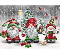 Vermont Christmas Company Caja de tarjetas de Navidad de gnomos de Navidad, 15 tarjetas y 16 sobres forrados de aluminio, empaquetadas en una atractiva caja roja, las tarjetas miden 4 1/2 x 6 1/4