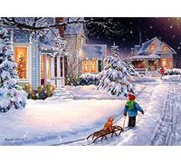 Vermont Christmas Company Tarjetas de Navidad, caja con 15 tarjetas y 16 sobres con forro de papel de aluminio.