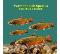 Vermont Game Fish and Panfish Species Kids Book: Great Book About the Different Types of Fish in Vermont