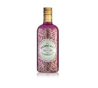Vermouth Padró & Co Rojo Clásico - 750 ml (Paquete de 6)