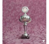 Verner - Crash Of The Web Era [Vinilo]