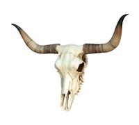 Veronese Design Cráneo de toro, cráneo, cráneo, calavera, cráneo, cuerno, figura