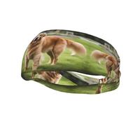 Versátil banda deportiva para el sudor YYHWHJDE con bonitos estampados de golden retriever, elástica y absorbe la humedad para yoga, fitness