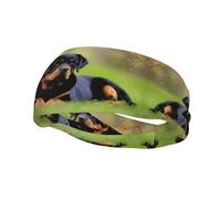 Versátil banda deportiva para el sudor YYHWHJDE rottweiler impresiones - diadema elástica y absorbente de humedad para yoga, fitness