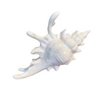 Versatile Conch Hair Jaw Clip - Pretty Clips for Hair | Non-Slip Headpiece for Bathing Swimming, Daily Summer Vacation, Tropical Wedding Seaside Fashion, Shell Pin for Ladies