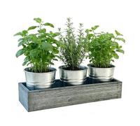 Versatile Placement Options: Featuring a narrow space-friendly design, these plant pots indoor with drainage provide flexible solutions for compact spaces such as kitchen flower gardens or professiona