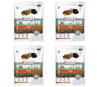 Versele-Laga Complete Cavia nutrición Todo en uno | Paquete de 4 | 4 x 500 g | Pellets para cobayas | Contiene heno Timothy | Enriquecido con Bayas de saúco y Hierbas aromáticas