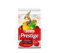 Versele Laga Prestige 5kg Arena de conchas Premium Marina
