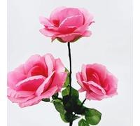 Versión de carga Super Light Rose Queen Magic Tricks Magician Stage Bar Party Magia Show Wedding Gimmick Props