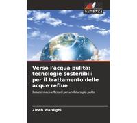 Verso l'acqua pulita: tecnologie sostenibili per il trattamento delle acque reflue: Soluzioni eco-efficienti per un futuro più pulito