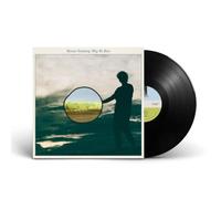 Versteeg, Menno - Why We Run [Vinilo]