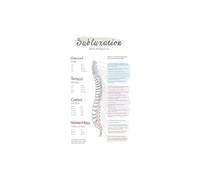 Vertebrae Poster for Science Teachers | Educational Print Featuring Spinal Layout(Framed,12x18inch(30x45cm))