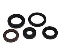Vertex Gasket 822394 - Kit de sello de aceite de motor compatible con/repuesto para Polaris Phoenix 200 2005-2021 200, kit de sello de aceite RZR 170 2009-2020 170, Sawtooth 200 2006-2007 200