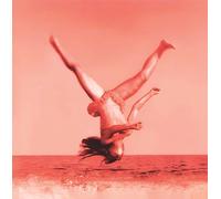 Vertical Horizon - Everything You Want [Vinilo]