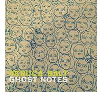 VERUCA SALT - Ghost Notes