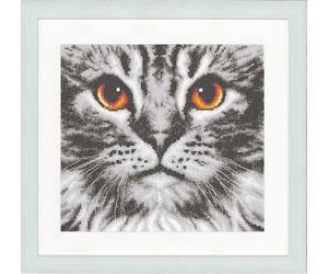 Vervaco Kits De Punto De Cruz Contado Cuadros Decoracion DIY Creativo KitPrimer plano de un gato Manualidades Arte De Pared Bordar Kit Principiantes Regaloca. 23 x 21 cm Cross Stitch Embroidery