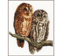 VERVACO Vevaco Kits De Punto De Cruz Contado Cuadros Decoracion DIY Creativo Kit BÚHOS Manualidades Arte De Pared Bordar Kit Principiantes Regalo ca. 26 x 29 cm Cross Stitch Embroidery