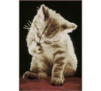 VERVACO Vevaco Kits De Punto De Cruz Contado Cuadros Decoracion DIY Creativo Kit GATITO Manualidades Arte De Pared Bordar Kit Principiantes Regalo ca. 22 x 30 cm Cross Stitch Embroidery