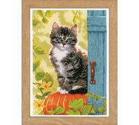 Vervaco Zählmusterpackung Katze & Kürbisse Aida Kit au Point compté Chat et potiron, Algodón, Blanc, ca. 25 x 35 cm / 10" x 14"