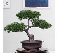 Verve Jelly Árbol bonsái Artificial, decoración de Plantas Falsas, Plantas Artificiales en Maceta para decoración del hogar, Planta de Pino sintético para decoración, exhibición de Escritorio
