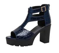Very G Sandalias romanas para mujer, sandalias de tacón alto para verano, plataforma gruesa, a la moda, talla grande, sandalias de boca de pez, zapatos de mujer, talla 9, Blue, 39.5 EU